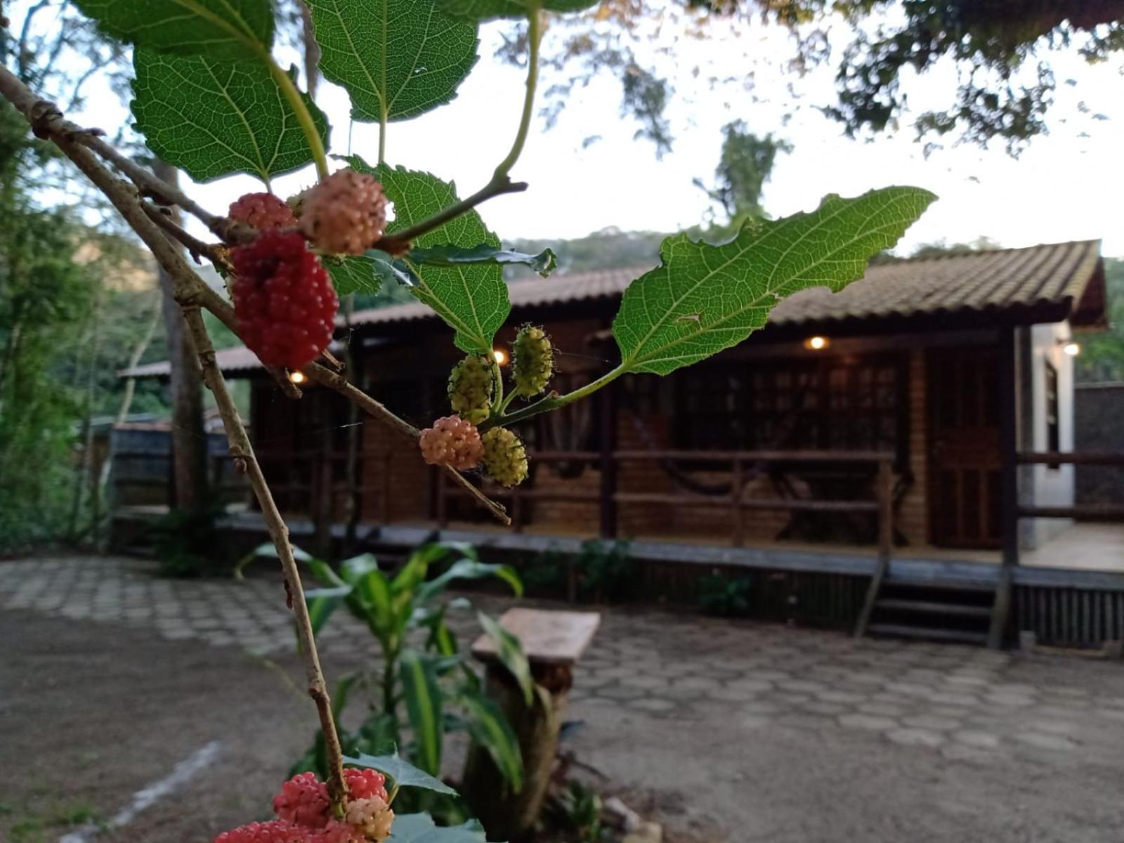 Chale 03 Itaipu Vale Da Colina Niteroi Villa Dış mekan fotoğraf